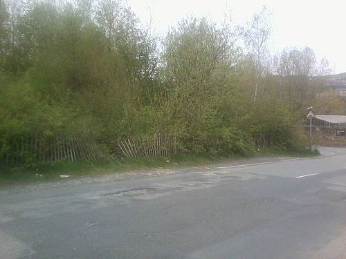 Staley and Millbrook railway station